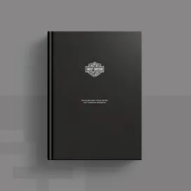 Harley Davidson 2001